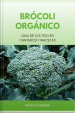 Brócoli Orgánico