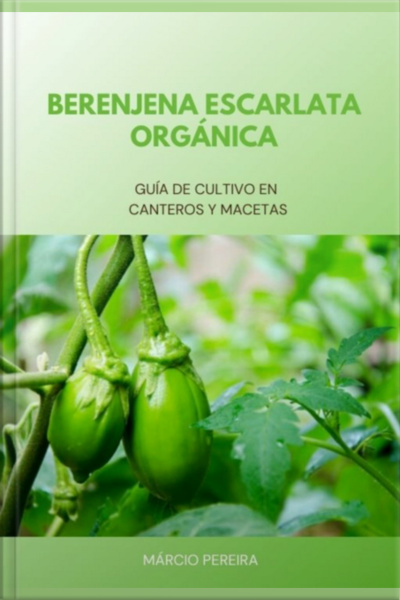 Berenjena Escarlata Orgánica