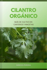 Cilantro Orgánico