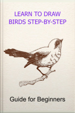 Learn To Draw Birds Step-by-step