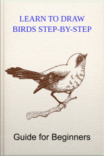 Learn To Draw Birds Step-by-step