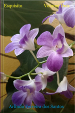 Esquisito Volume Dois