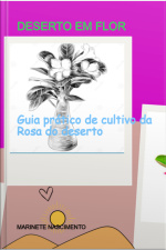 Deserto Em Flor