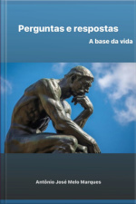 Perguntas E Respostas