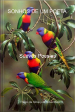 Sonhos De Um Poeta