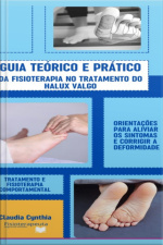 Guia Téorico E Prático