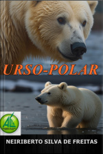 Urso-polar