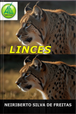 Linces