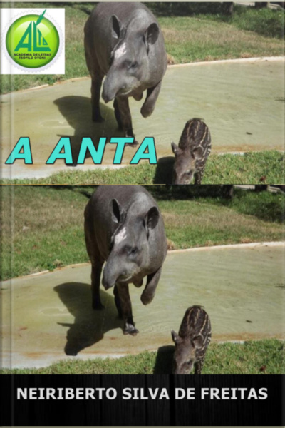 A Anta