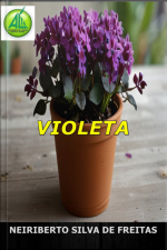 Violeta