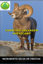 Carneiro-selvagem Americano