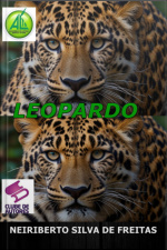 Leopardo