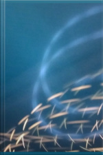 Três Práticas Poderosas Para Captar Clientes No Marketing Digital