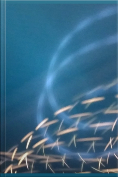 Três Práticas Poderosas Para Captar Clientes No Marketing Digital