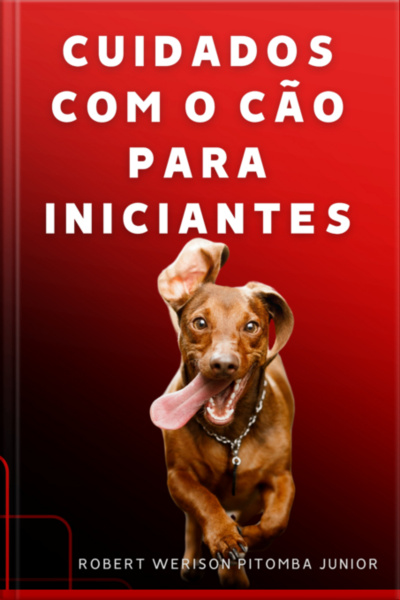 Cuidados Com O Cão Para Iniciantes