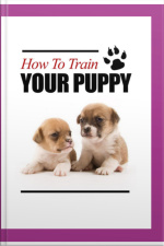 How To Train Your Puppy