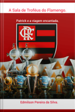 A Sala De Troféus Do Flamengo.