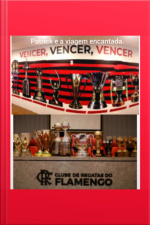 A Sala De Troféus Do Flamengo.