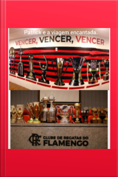 A Sala De Troféus Do Flamengo.