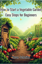 How To Start A Vegetable Garden