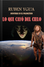 Lo Que Cayó Del Cielo