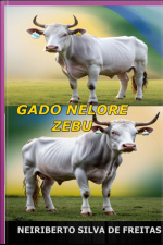 Gado Nelore Zebu