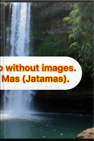 The Illustrious Mop, Without Images.