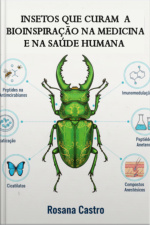 Insetos Que Curam