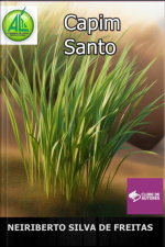 Capim Santo
