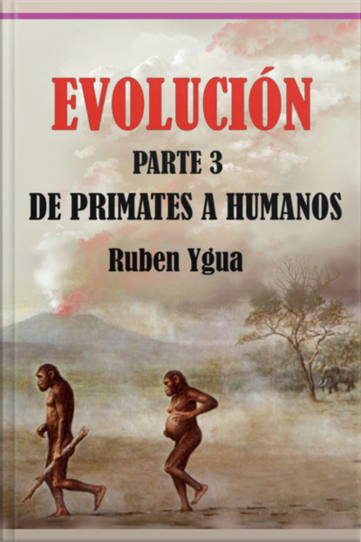 Evolución- De Primates A Humanos