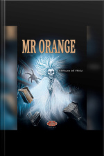 Mr Orange