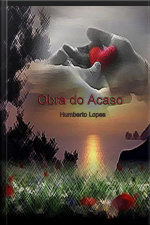 Obra Do Acaso