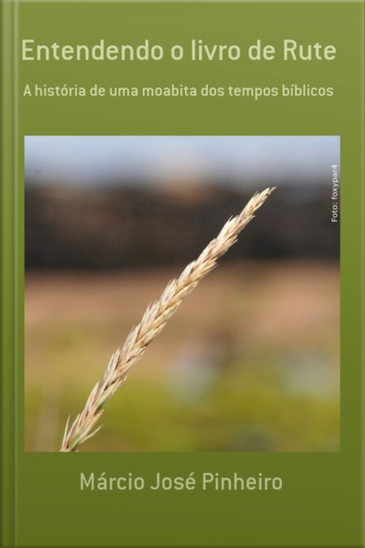 Entendendo O Livro De Rute