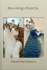 Meu Amigo Bolacha