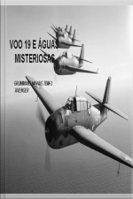 Voo 19 E Águas Misteriosas