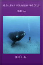 As Baleias, Maravilhas De Deus