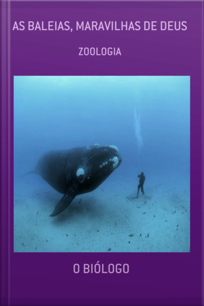 As Baleias, Maravilhas De Deus