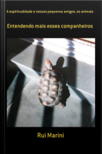 A Espiritualidade E Nossos Pequenos Amigos, Os Animais