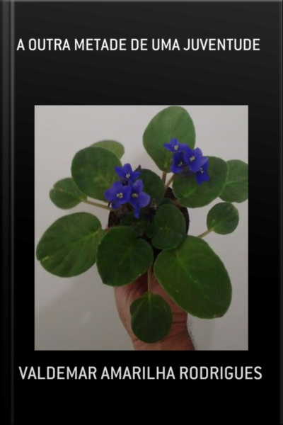A Outra Metade De Uma Juventude