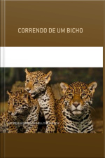 Correndo De Um Bicho