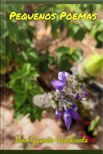 Pequenos Poemas