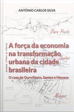 A Força Da Economia Na Transformação Urbana Da Cidade Brasileira