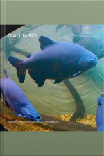 O Aquário