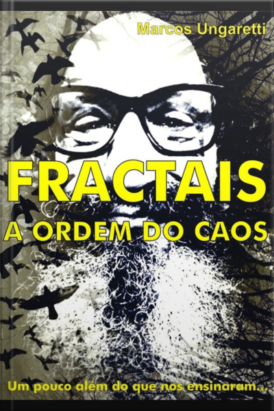 Fractais: A Ordem Do Caos
