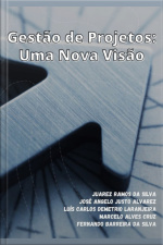 Gestão De Projetos: Uma Nova Visão