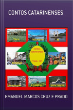 Contos Catarinenses