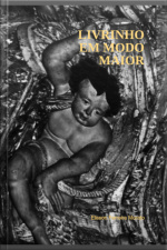 Livrinho Em Modo Maior