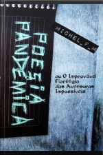 Poesia Pandêmica Ou O Improvável Florilégio Das Aventuras Impossíveis