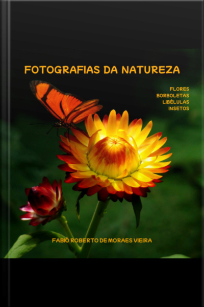 Fotografias Da Natureza - Flores, Borboletas, Libélulas E Insetos.