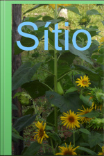 Sítio